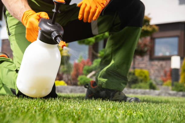 Wasp Removal Services in Peoria, IL