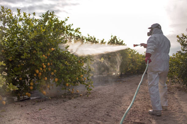Best Affordable Pest Control Services  in Peoria, IL
