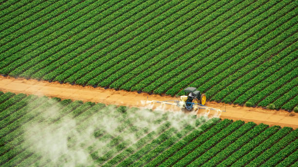 Best Commercial Pest Control Services  in Peoria, IL